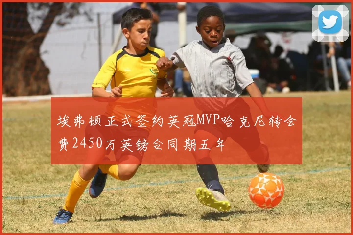 埃弗顿正式签约英冠MVP哈克尼转会费2450万英镑合同期五年